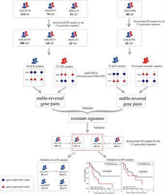 A Qualitative Transcriptional Signature for Predicting Extreme Resistance of ER-Negative Breast Cancer to Paclitaxel, Doxorubicin, and Cyclophosphamide Neoadjuvant Chemotherapy